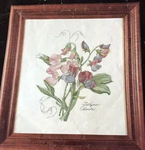 

Beautiful Lovely Counted Cross Stitch Kit, Pea Flower, Height DIY, Needle Work, 39-45, Top Quality