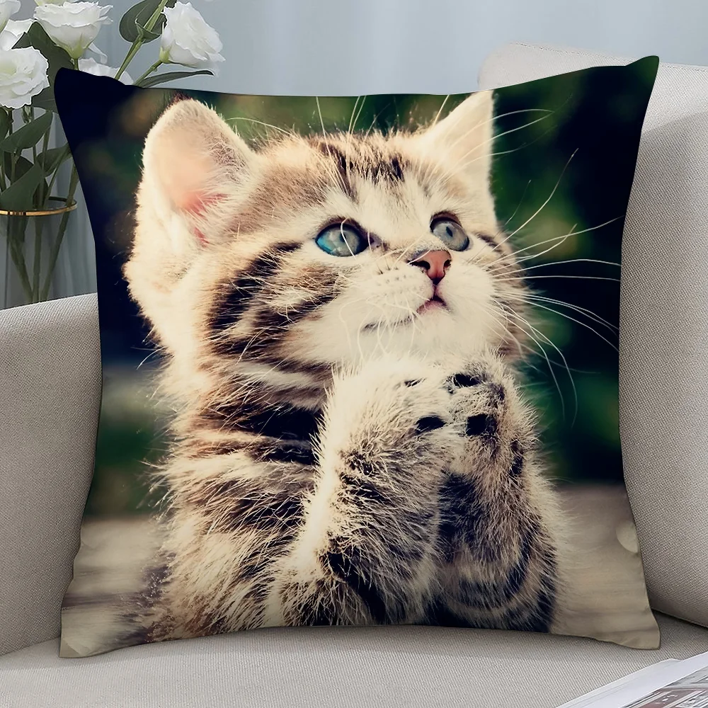 

Очаровательный кот, милая наволочка, короткие плюшевые наволочки, декоративный подарок для дивана, домашний чехол для подушки с двусторонней печатью