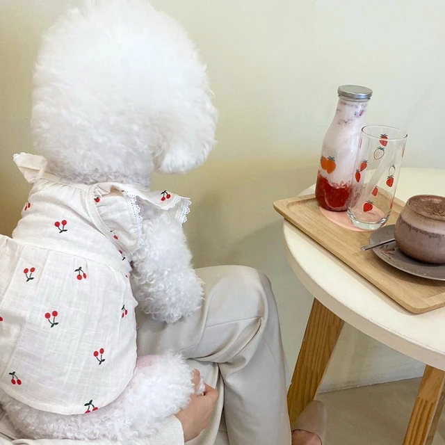 Pet Dog Skirt Spring Summer Thin Puppy Dress Pet Fruit Clothes Bichon Cherry Clothes Soft Dog Clothes XS-XL 2