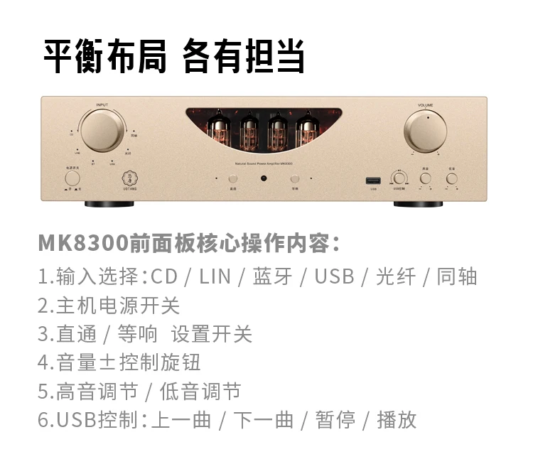 Электронный трубчатый усилитель желчного пузыря YouTang 120 Вт * 2 MK8300 Hi-Fi уровня жара