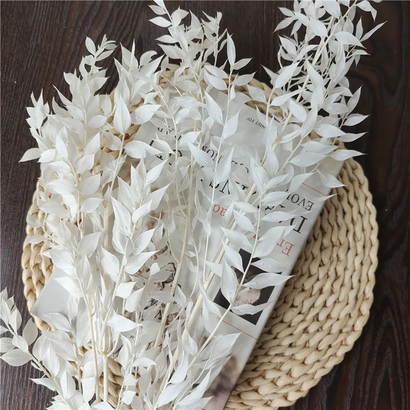 

Dried Natural flowers White Fugui Leaves Branches,Display Bouquet De Mariage Flowers Arrangment Wedding Home Room Decorations