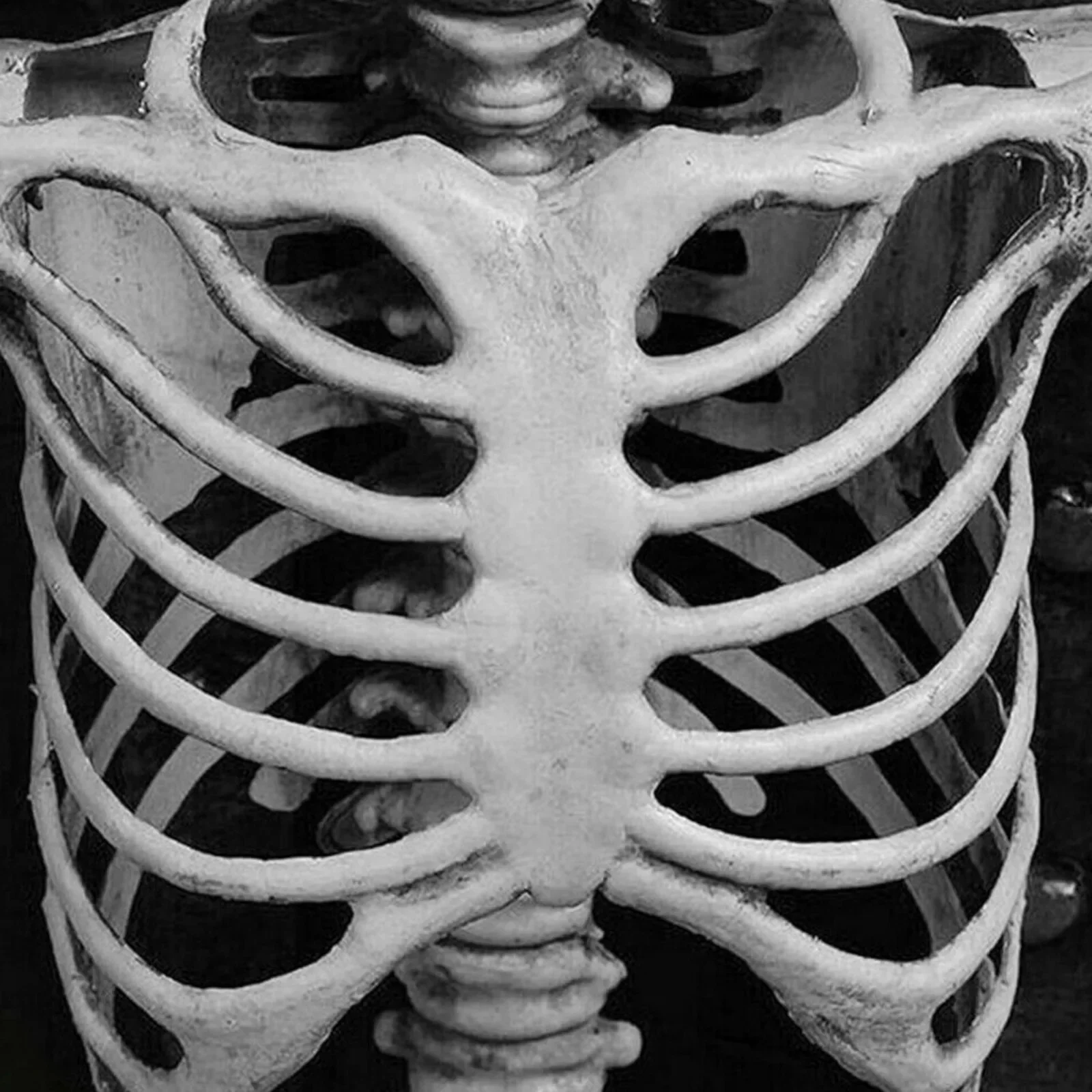 Полная гигиена Esqueleto realista с артикуляциями и блестящими бриллиантовыми