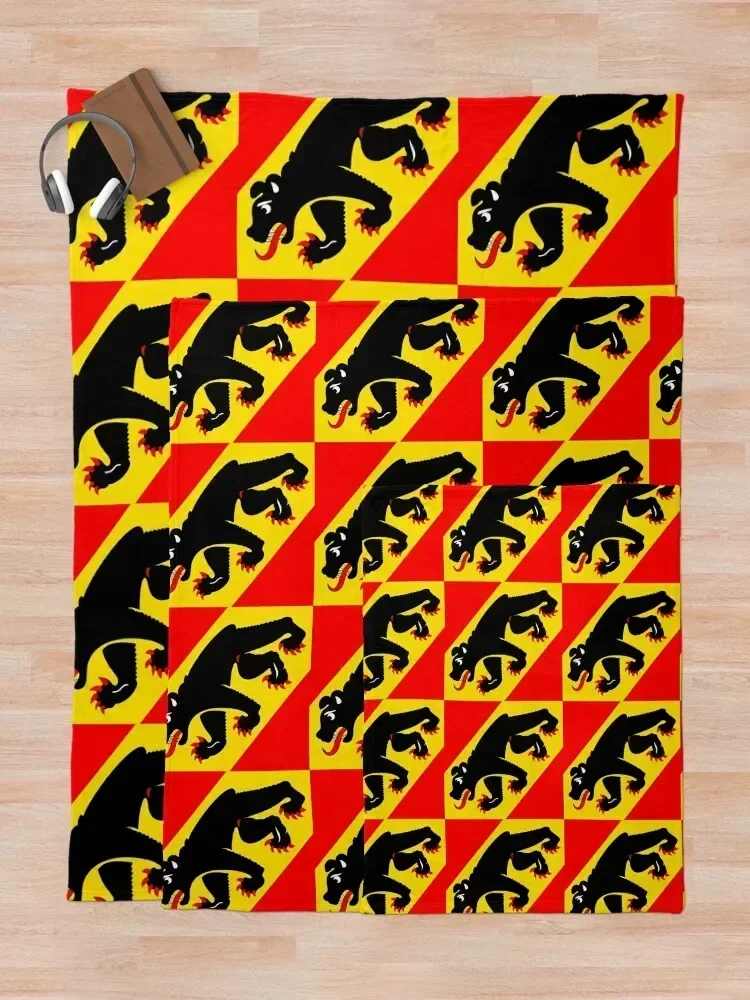 Одеяло с флагом Берна Кантона милые клетчатые одеяла для волос декоративные