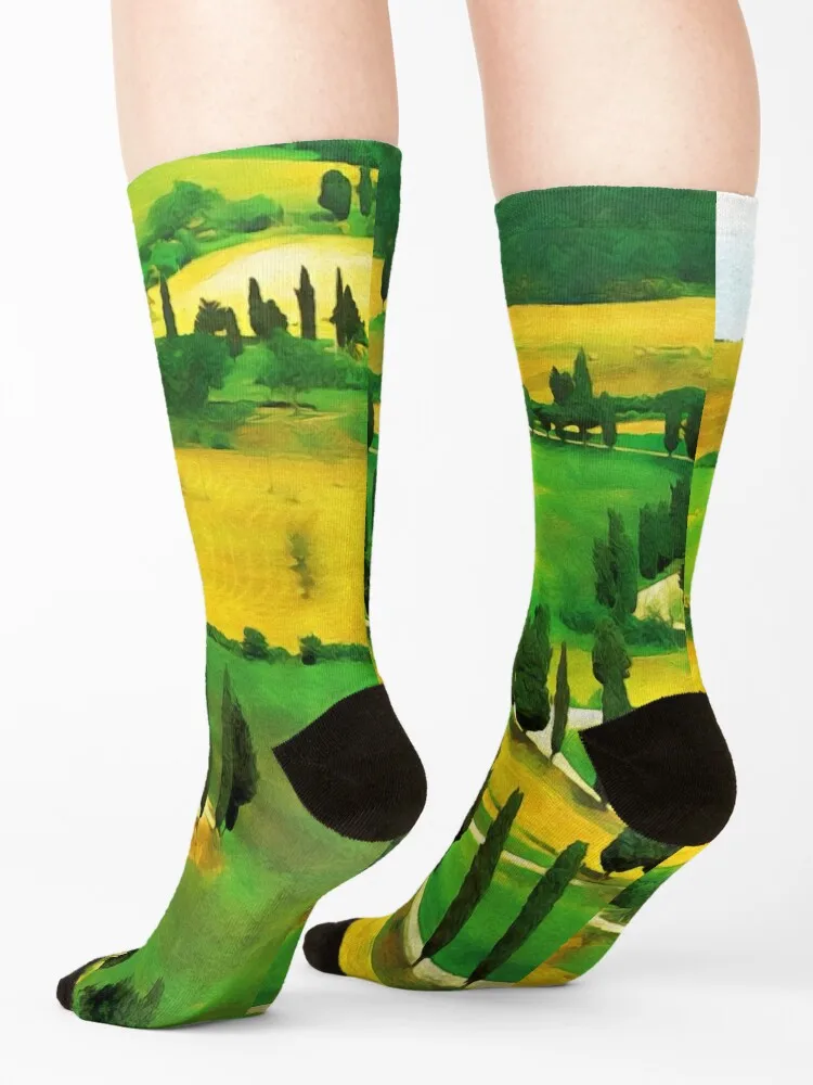 Chianti тосканные носки снежные незаменимые Спортивные Чулки компрессионные