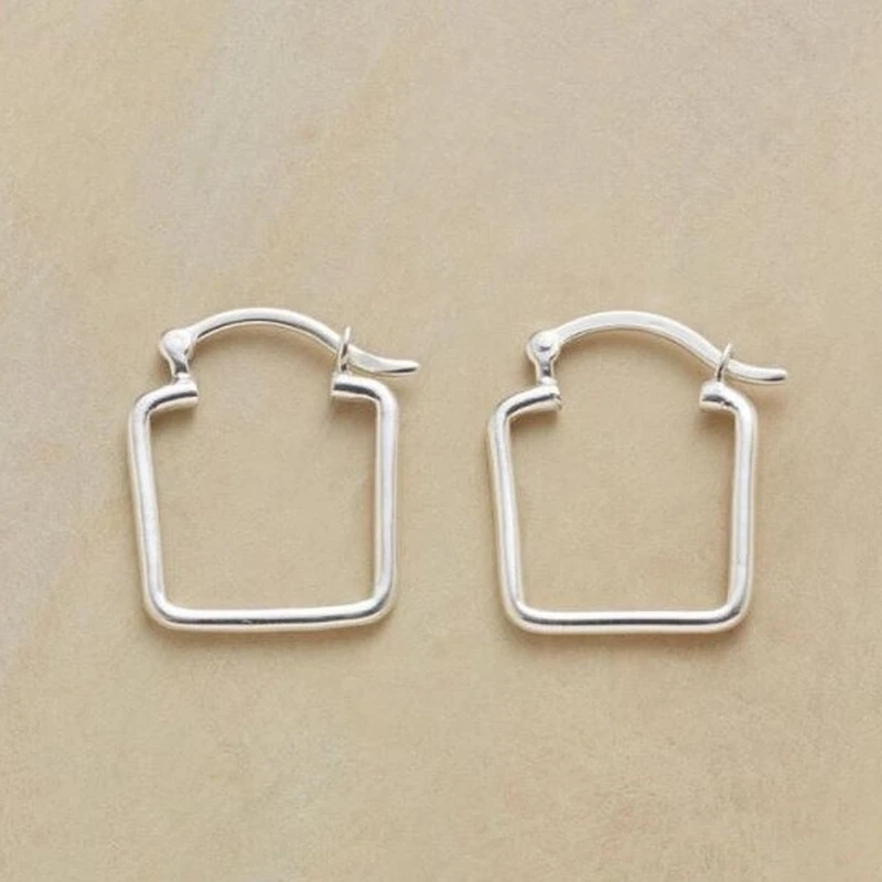 

New simple and atmospheric special-shaped Earrings European and American fashion earrings