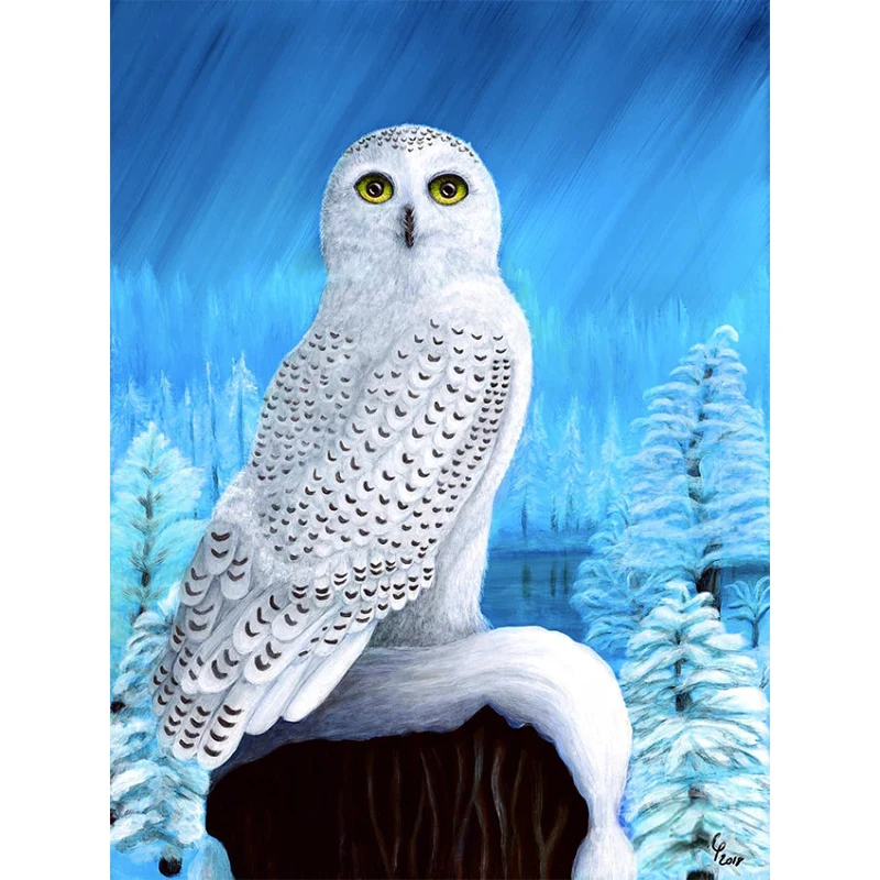 

Алмазная картина полностью квадратная круглая дрель Снежный восторг Птица Картина DIY 5D мозаика ремесло птицы постер домашний настенный Дек...