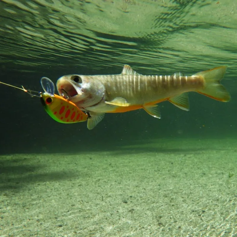 TEKNIK тонущий гольян 45 мм 4g жесткие приманки рыболовные искусственные для ловли