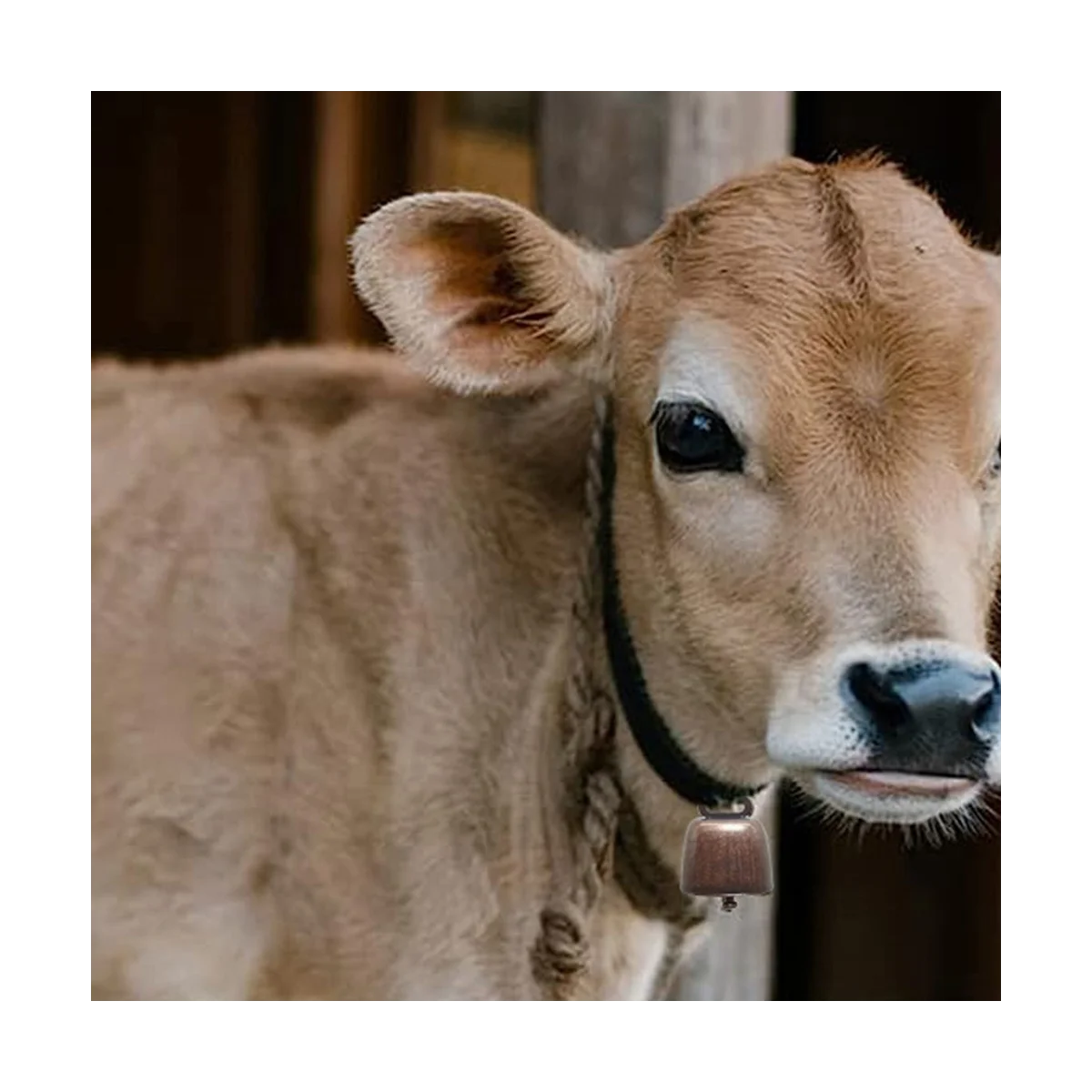 18 шт. в винтажном стиле для выпаса крупного рогатого скота и овец обычно