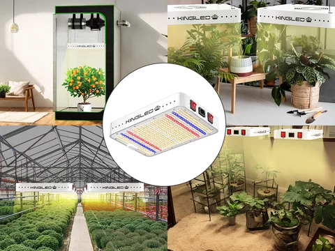 BESTVA KINGLED LED Grow Light 1000/2000 Вт полный спектр