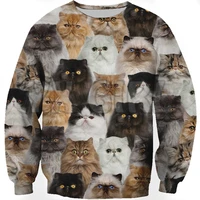 new funny dog sweatshirt you_will_have_a_bunch_of_persian_cats 3d printed sweatshirts men for women pullovers unisex tops