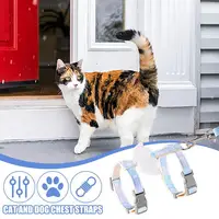 Шлейка с крыльями#3