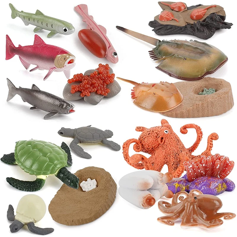 

17 PCS Ocean Sea Marine Animal Growth Cycle Model Turtle Limulus Salmon Fish Octopus Model Party Favor For Boys Girls