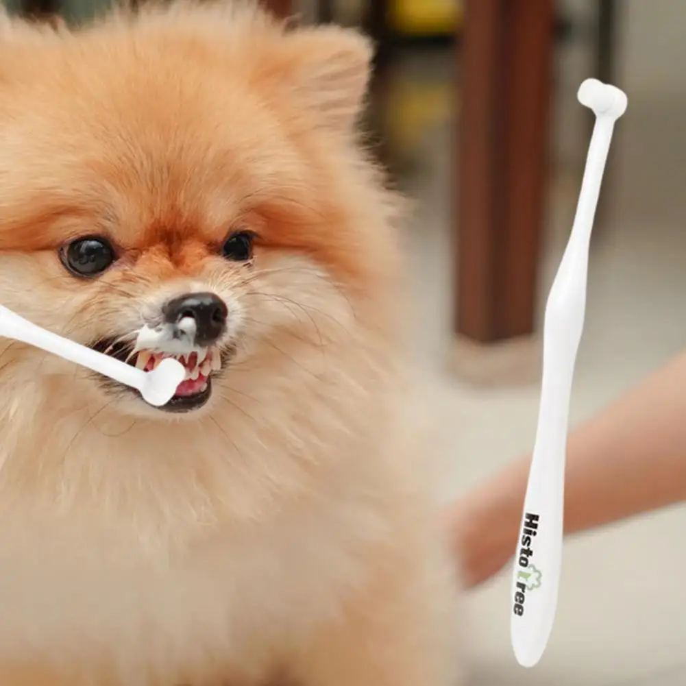 Lovely Dog Toothbrush Burrs-free PBT Pet Cat Dental Cleaning |