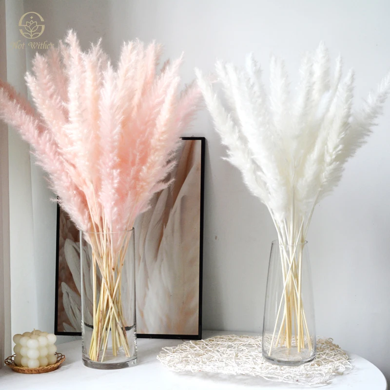 

30PCS Pampas Grass Dried Flower for Wedding Decoration Natural Preserved Flowers Boho Home Accessories Room Ornament Bouquets
