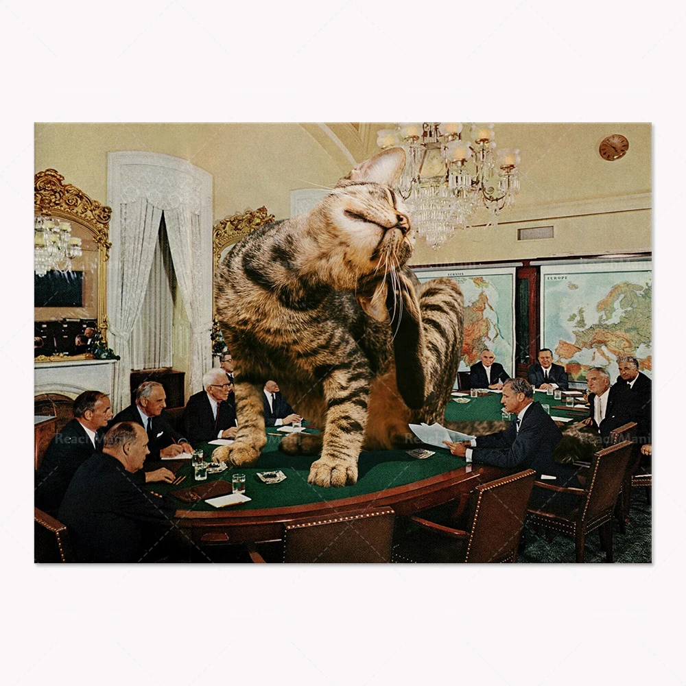 Имбирная кошка апельсиновая таблетка Гонконг Вашингтон байерман Германия