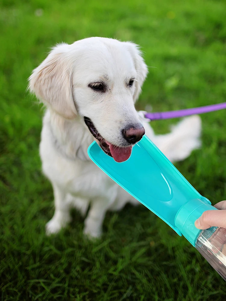porta agua para mascotas Compra porta agua para con envío gratis en AliExpress version