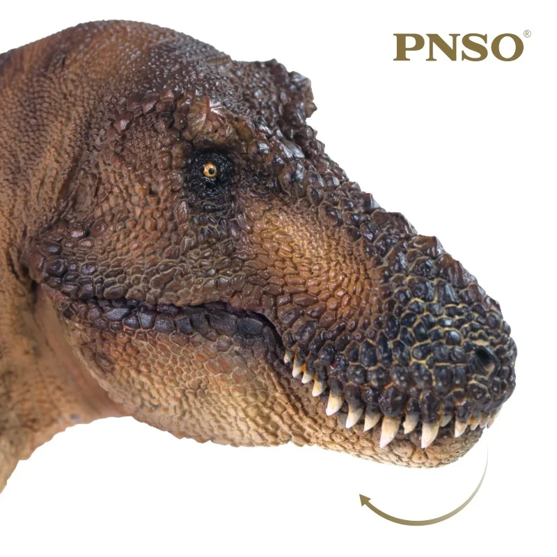 1:35 PNSO الديناصورات متحف اندريا الديناصور ريكس عصور ما قبل التاريخ لعبة الحيوانات نموذج الفن العلمي مع صندوق البيع بالتجزئة