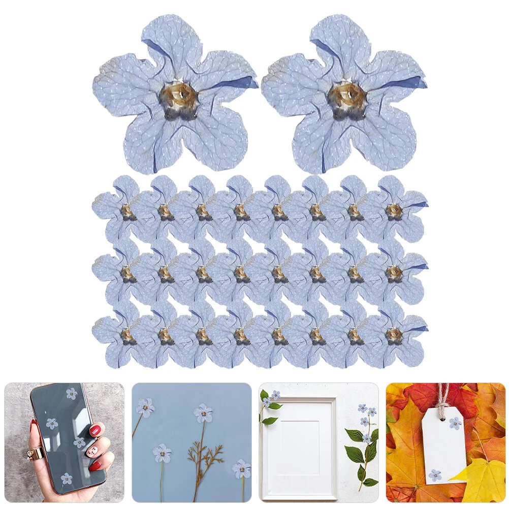 

Decorate Dried Flower For Crafts Handicrafts Supplies DIY Dry Flowers Pressed