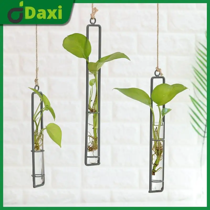

Nordic Iron Glass Vase Transparent Wall Mounted Flowerpot Living Room Hydroponic Green Plant Container Home Ornament