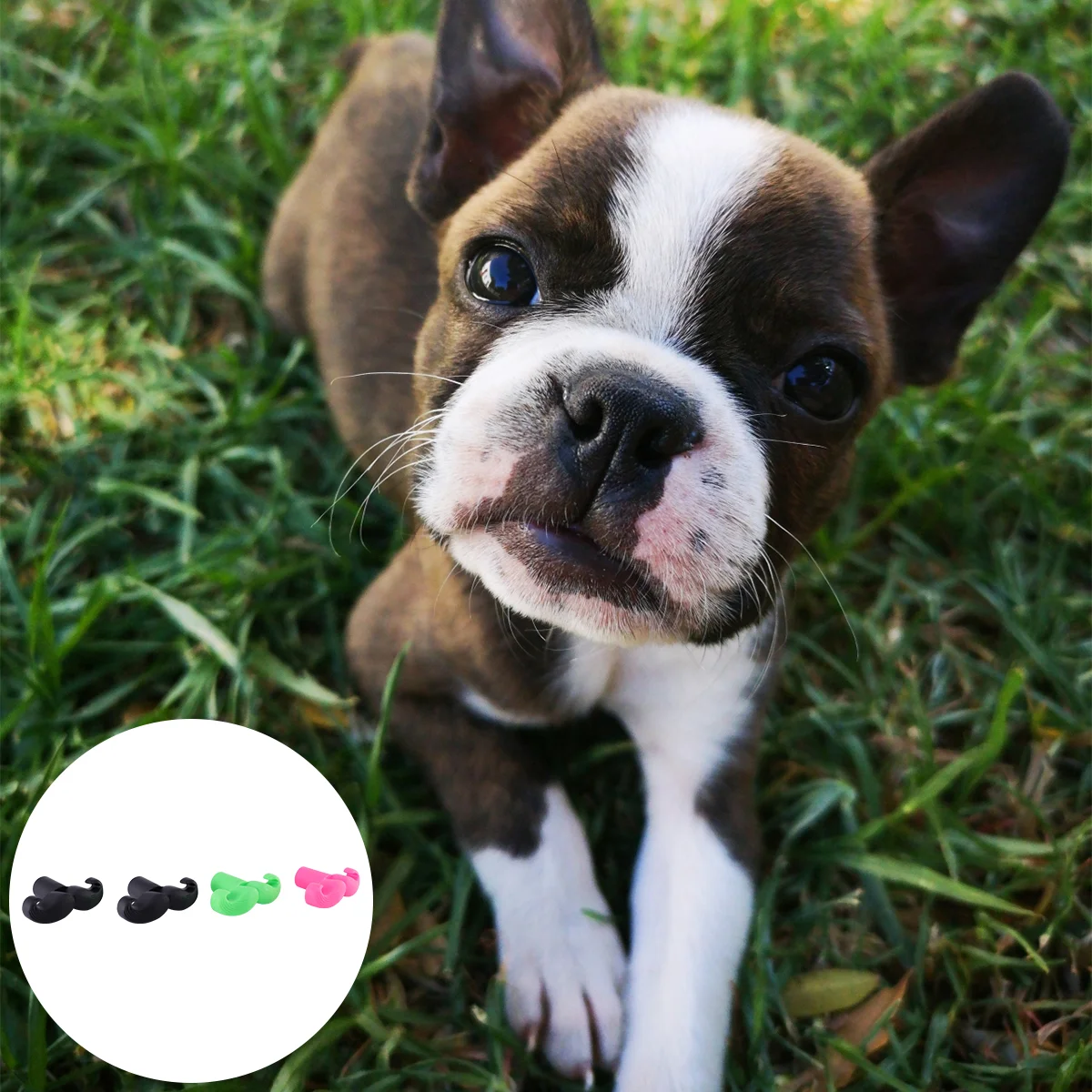 

4PCs Pet Practical Funny Chew Sound Mustache Bite Pet Supplies for Pet