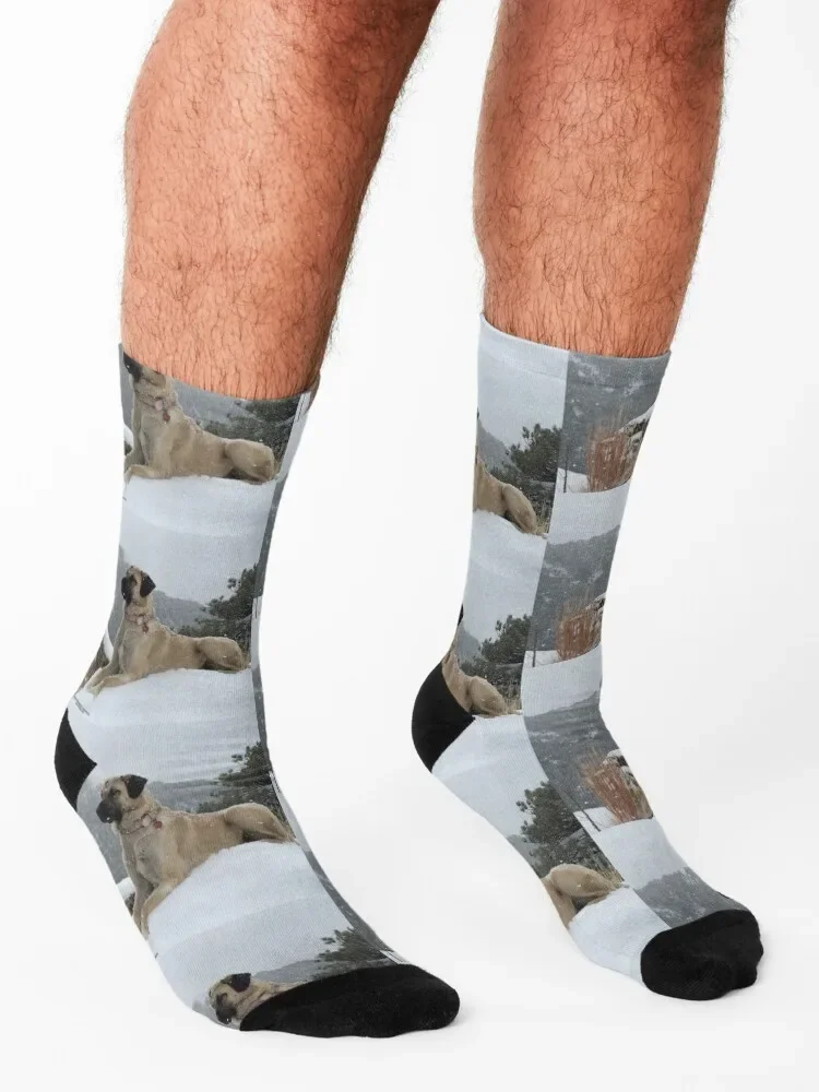 Носки Anatolian для защиты овчарки подарок велосипедные мужские носки до щиколотки