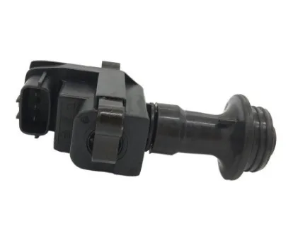 

Ignition Coil 22448-AA100