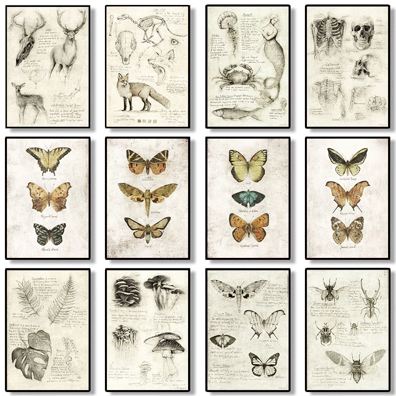 

Ботанические образовательные постеры Эстетическая бабочка насекомые старые эскизы животные для обучения винтажная живопись на холсте нас...