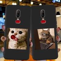 cartoon cute funny animal cat funda coque for oneplus 8 5 6 7 one plus 5t 6t 7t 8 pro phone case soft silicone tpu cover shell