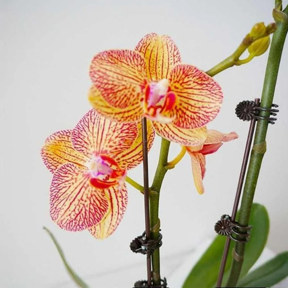 Зажимы для садовых растений 20 х10х16 мм 10/50/100 шт.