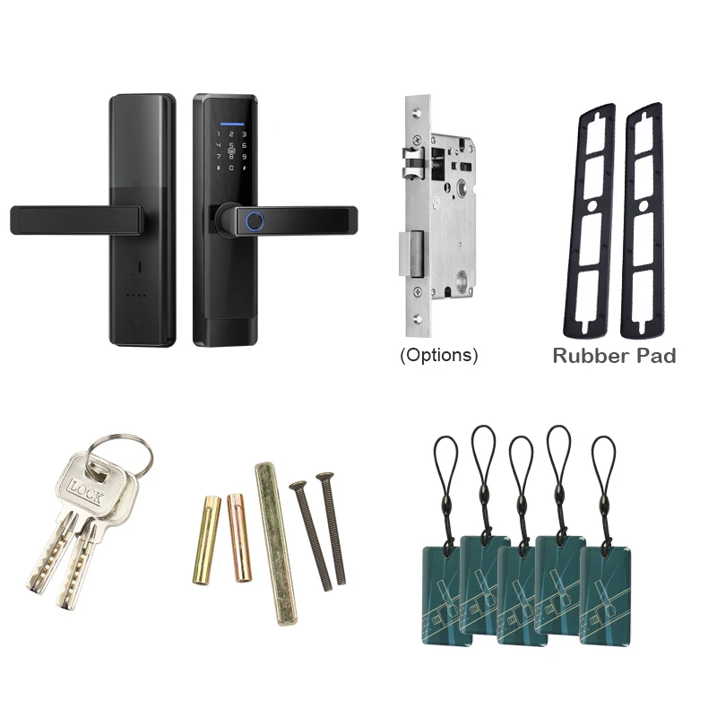 2022 New Mode L1 Smart Door Lock Wifi Tuya APP Fingerprint Digit Intelligence Electric 5 Unlock Method Support 8 Language Voice images - 6