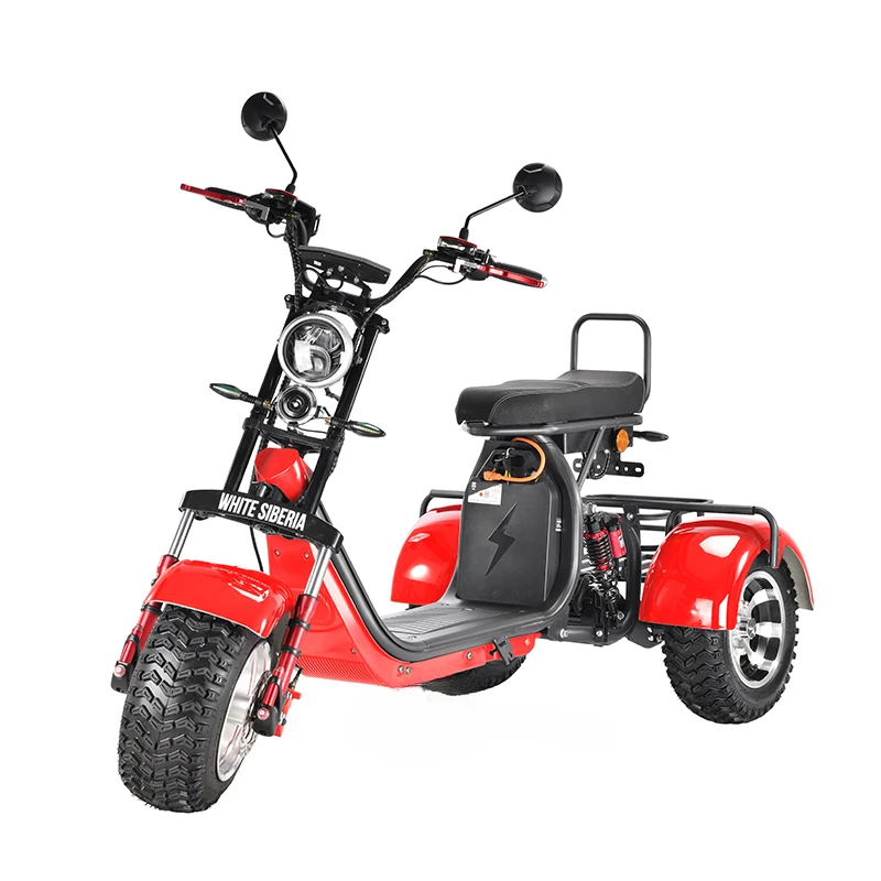 

Hot selling warehouse eec Adult three wheel Lithium Battery 60V 40Ah 2000w electric tricycle 3 wheel electric scooter citycoco
