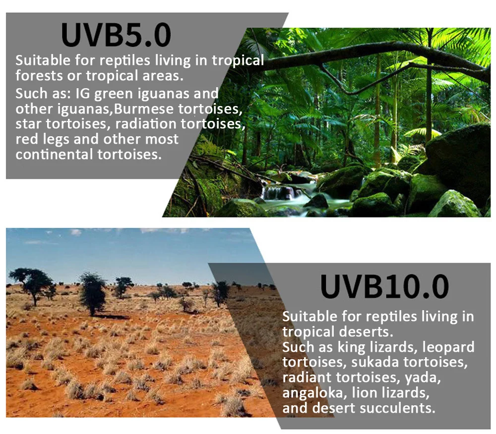 Лампа для черепах, ящериц, змей и игуан Reptile UVB 5.0 10.0 для нагрева, обеспечения кальцием и экономии энергии, светильник для суккулентов E27.