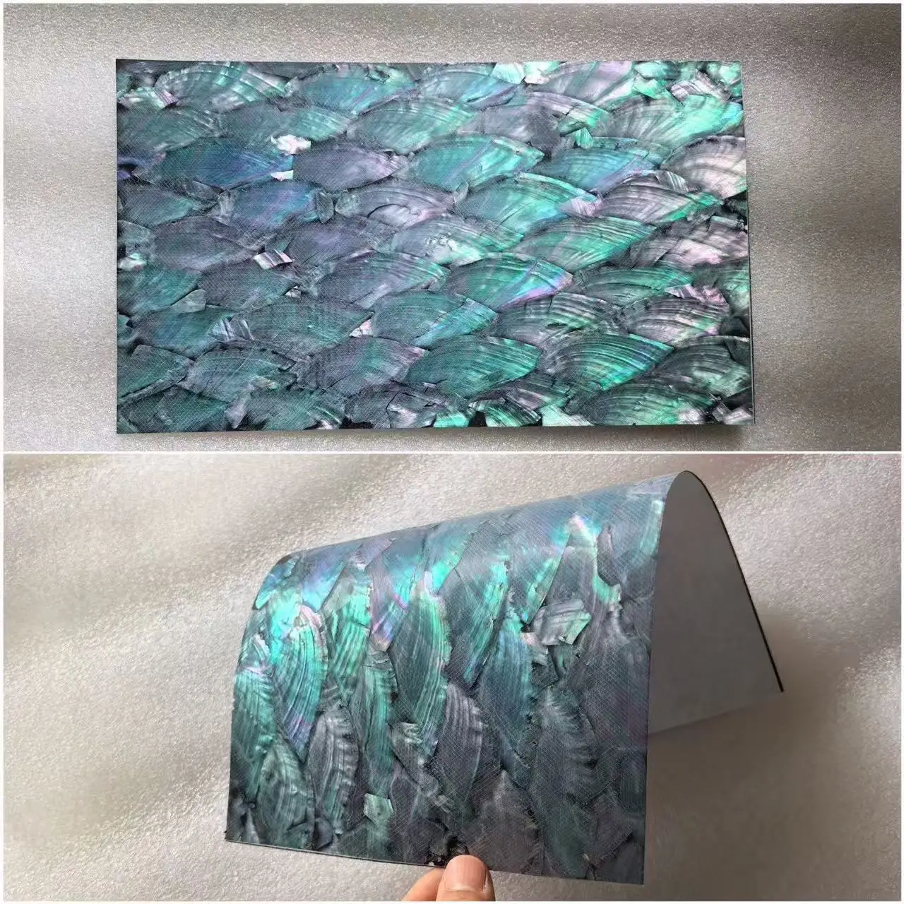 Натуральная ракушка морского ушка, синяя, 240x140 мм