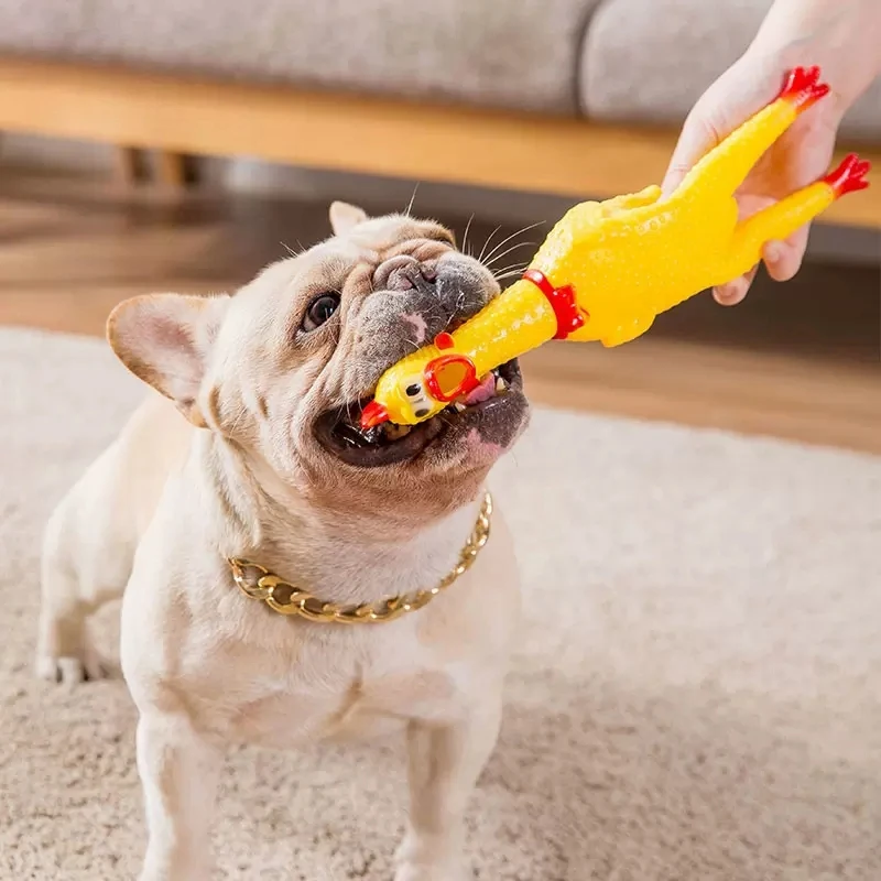 

Dogs Squeak Toys Screaming Chicken Squeeze Chewing Toy Funny Rubber Chicken&Releasing Biting Toy Dog Playthings Dog Accessories