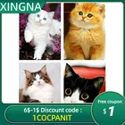 Набор для алмазной живописи Кот, Набор для творчества сделай сам, круглая вышивка крестиком, круглые алмазные вышивки