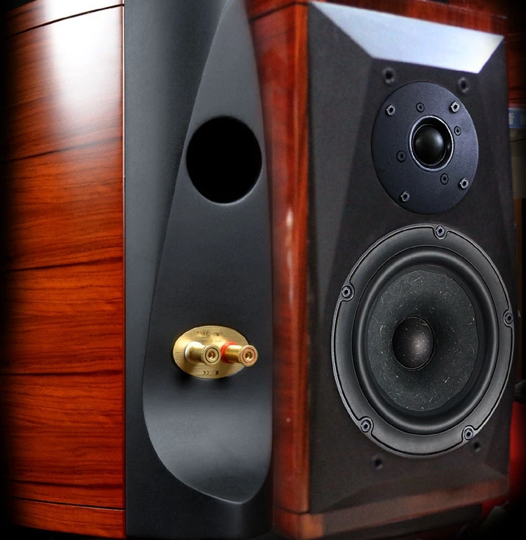 

A pair of custom speakers