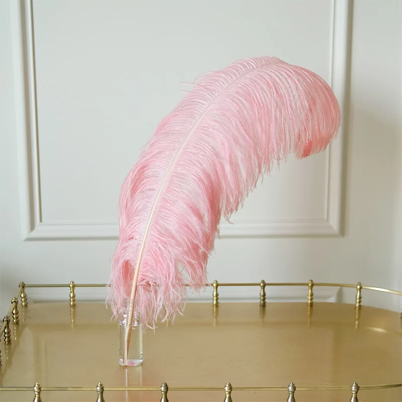 25PC 50-55CM Бежевые крашеные страусиные перья натуральные настоящие перья Пары для свадебных центральных украшений ремесла карнавал.