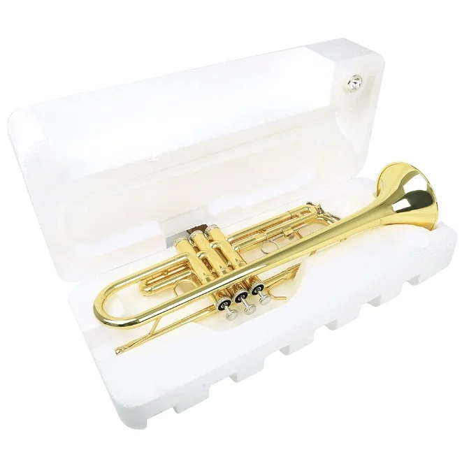 Латунная пенопластовая труба трехцветная плоская для обучения игре Западный