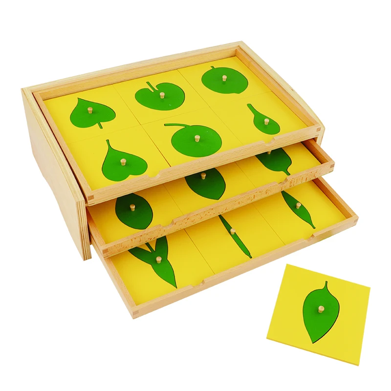 

Baby Toys Montessori Wooden Botany Leaf Cabinet with Insets Early Childhood Preschool Teaching Aids Puzzle Game Toy for Children