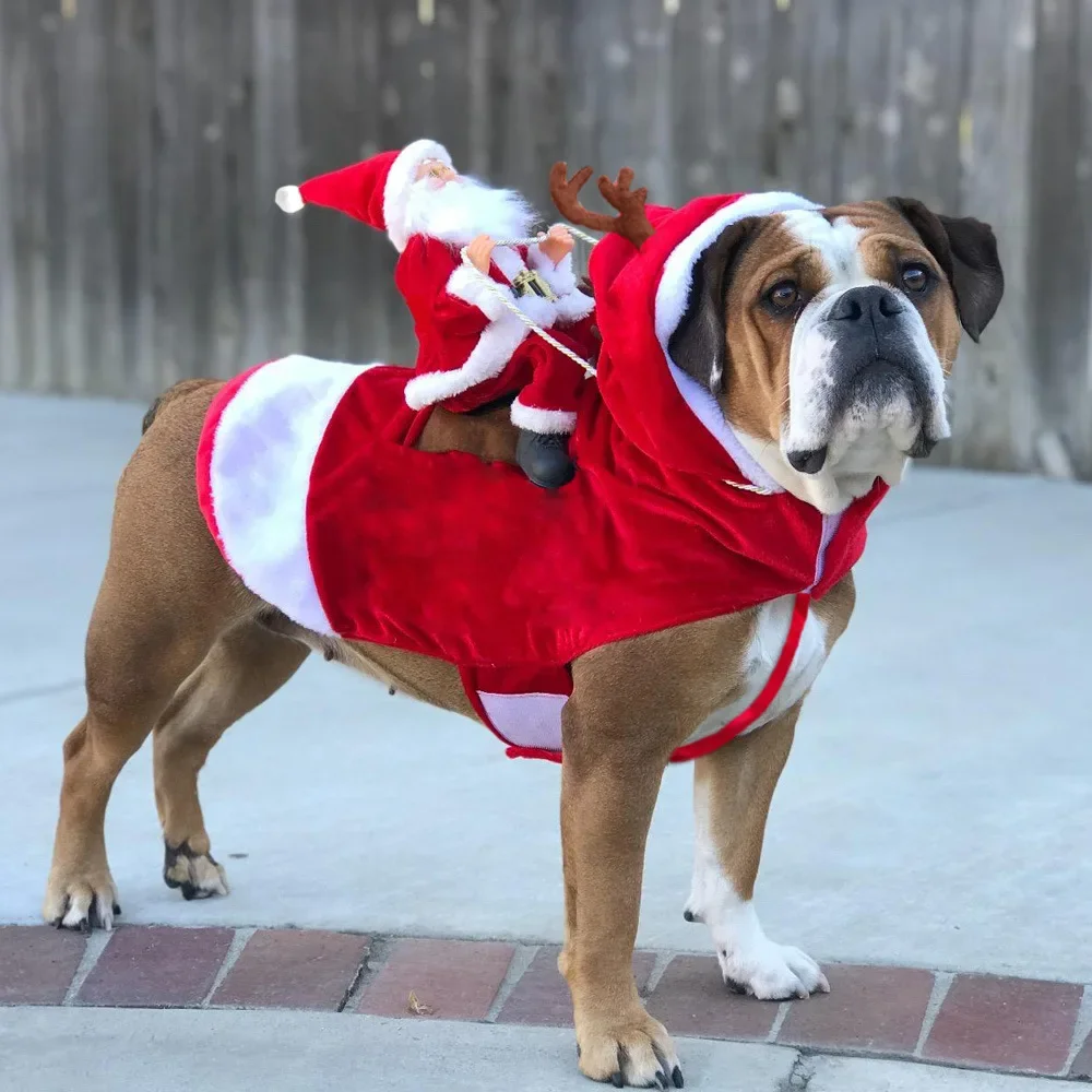 

2023 Рождественский костюм для собаки Санта-Клаус Одежда для верховой езды на лыжах смешной костюм для косплея для домашних животных новогодние теплые и морозные товары для домашних животных