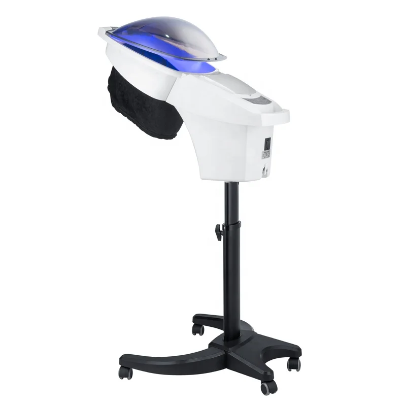 Oem Hair Spa Steamer