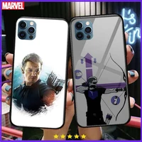 hawkeye hero glass case for iphone 13 12 11 pro max 12pro xs max xr x 7 8 plus se 2020 mini case tempered back cover