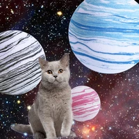funny pet toy ball eva star pattern ball cat galaxy interactive toy small pet cat supplies