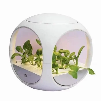indoor LED hydroponic growing vegetable planter at home