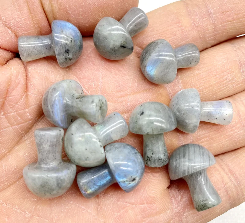 12 шт. подвеска в виде гриба флюорит лабрадорит