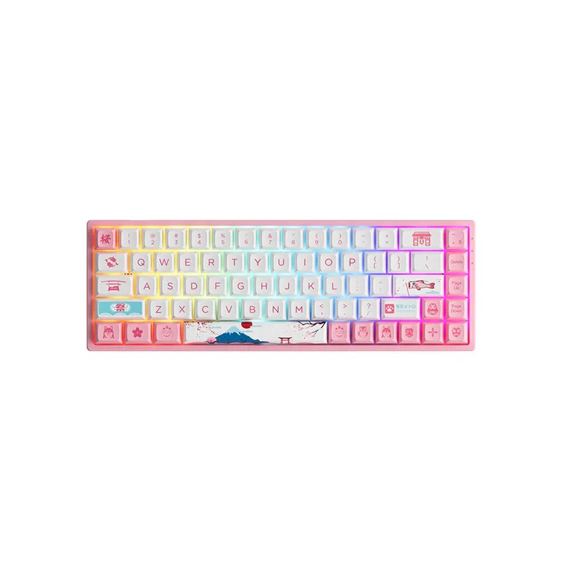 

Akko World Tour Tokyo R2 3068B Plus RGB BT5.0/2.4Ghz/Type-C 5-Pin Hotswap Mechanical Gaming Keyboard Dye-Sub PBT OSA Profile Key