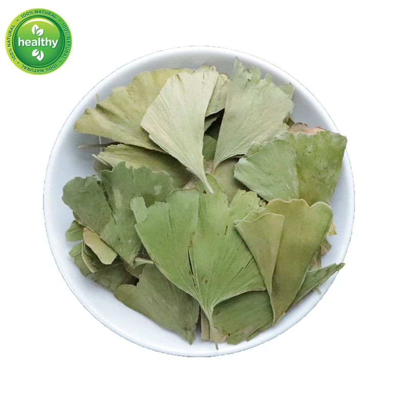 

FOLIUM Ginkgo, Ginkgo Biloba Leaf, Yin Xing Ye Ginkgo Biloba Ginkgo Biloba Tree from Nature