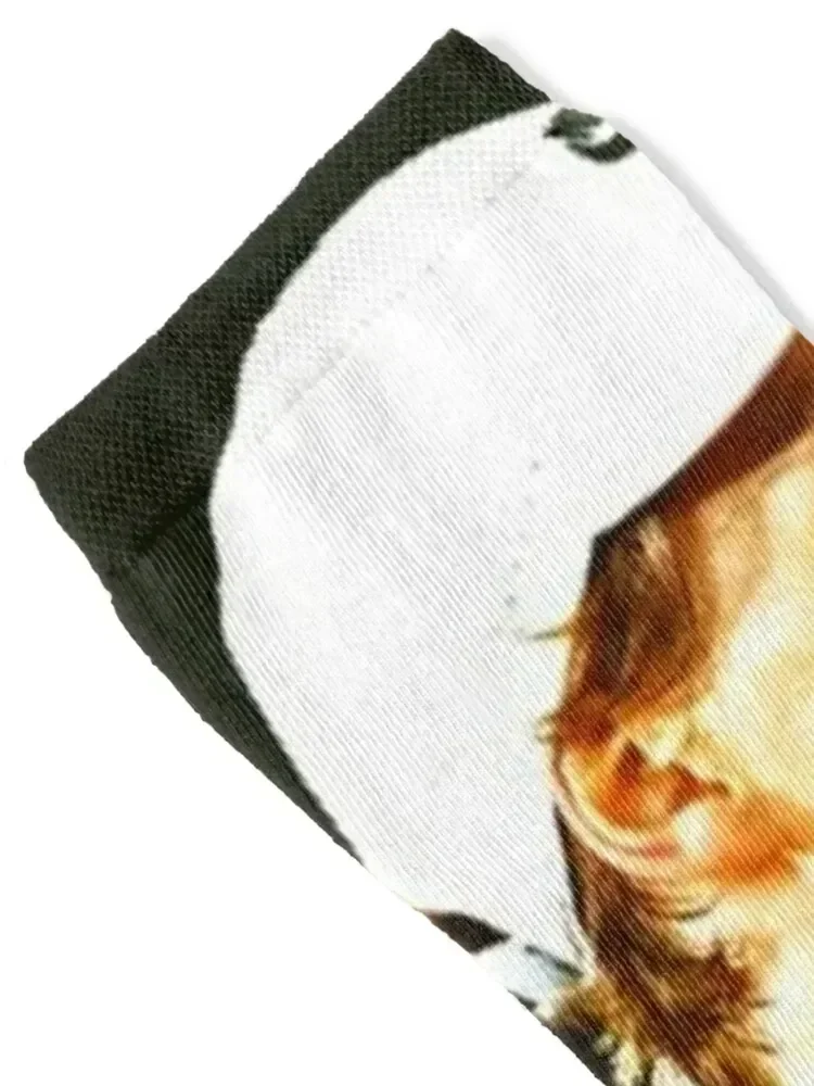 Носки Janik sinner для профессионального бега нескользящие носки мужчин и женщин