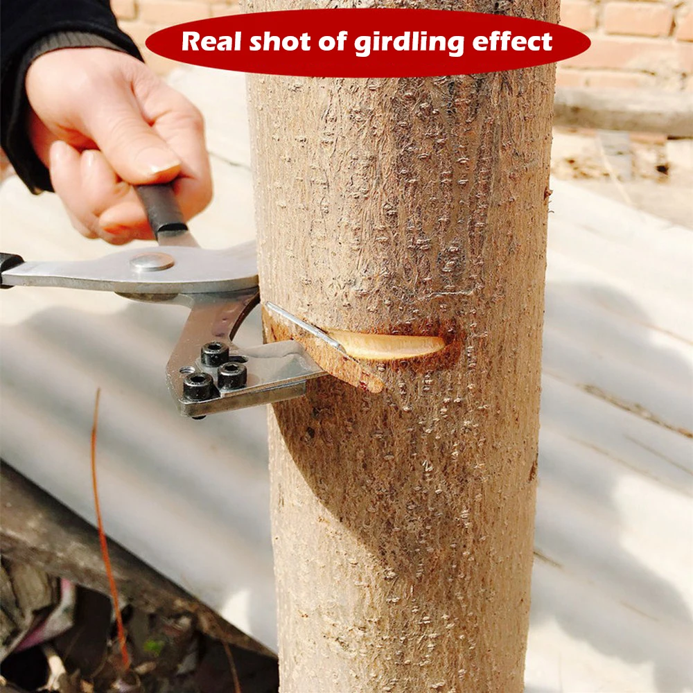 

Бытовые щипцы для зачистки колец с пятью лезвиями, инструмент для зачистки кругов Jujube, инструмент для ногтей, инструмент для резки лая, фрук...