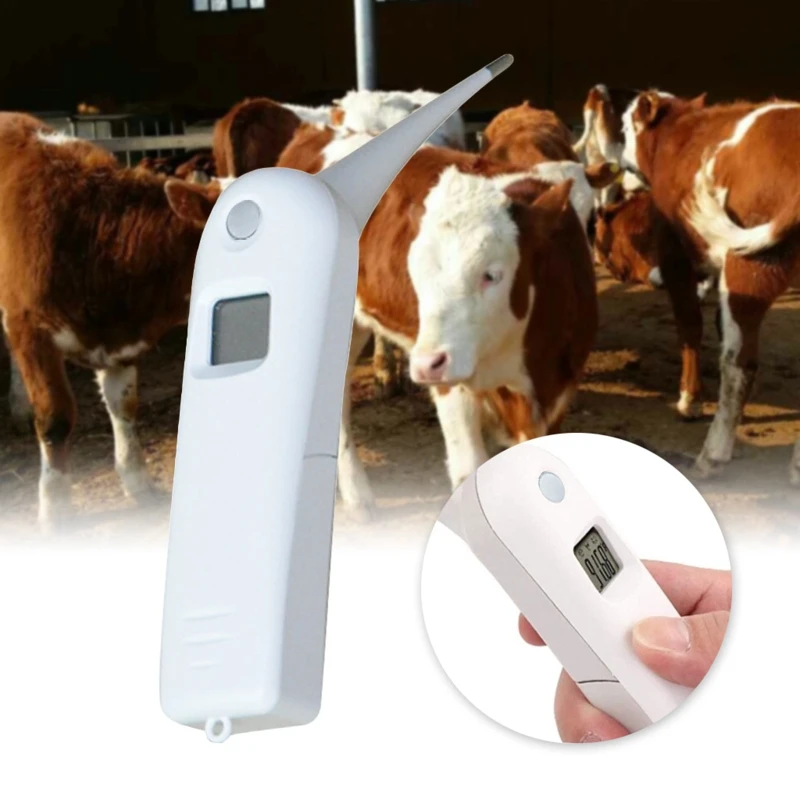 

Pet Thermometer with Probe for Accurate Temperature Detection Suitable for Cats Dogs LCD Display for Cat Dog Thermometer